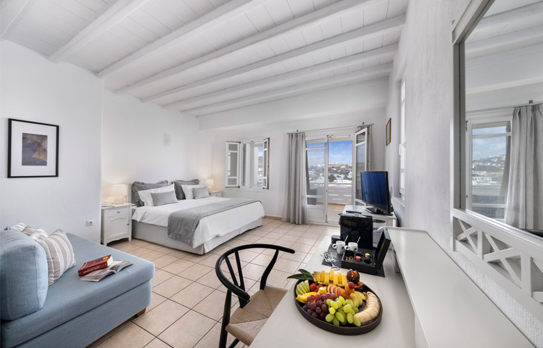 img_EXECUTIVE DOUBLE WITH HOT TUB